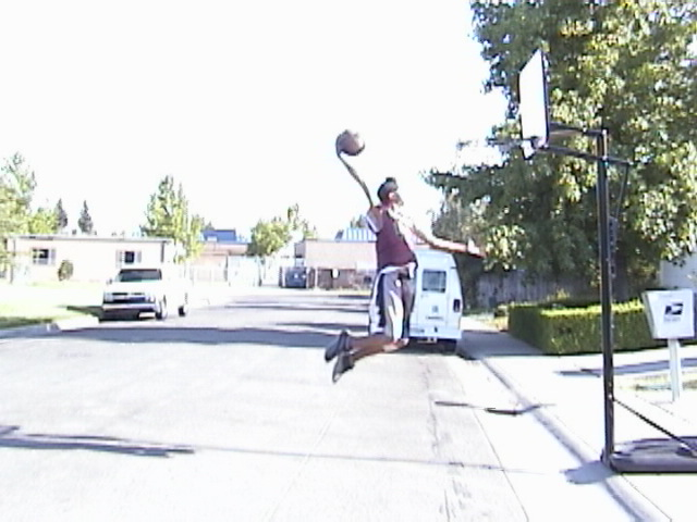 5.gif